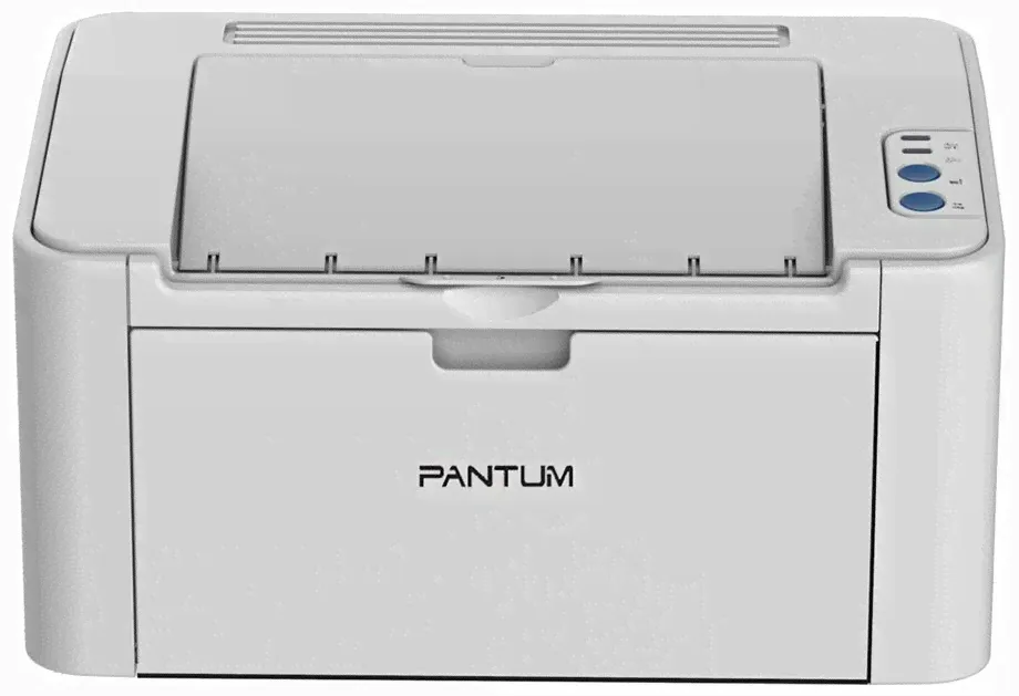 Pantum Принтер Pantum P 2200 серый принтер-1